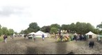 The Healing Field