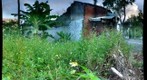Outside 2