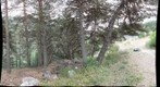 Trip to France 2010 -1319-