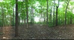 Dairy Bush GigaPan - 54 - Sept 09 2010