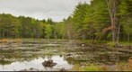 Beaver Pond at Gate 43, Quabbin Reservoir