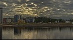 Pielisjoki