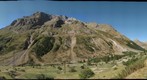 1001 sheep and goats