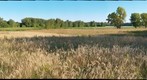 Wood Lake Nature Center, Richfield, Minnesota