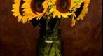 Sunflower bouquet