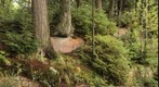 Algonquin Rock