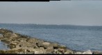 Sandy Point State Park beach in Annapolis, Maryland