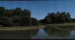 Pond at Japan House, University of Illinois at Urbana-Champaign
