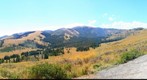 Yellow Stone National Park