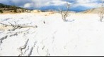 Norris Geyser Basin - Yellow Stone National Park