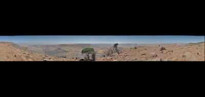 59195-400x189