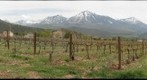 Stone Cottage Cellars