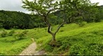 Trekking in the mountains near Yuno-ko