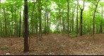 Dairy Bush GigaPan - 55 - Sept 15 2010