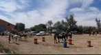 XV Concentracion ecuestre, junio de 2.008 en Osso de Cinca, Huesca