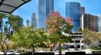 Downtown Los Angeles from Grand Central Market