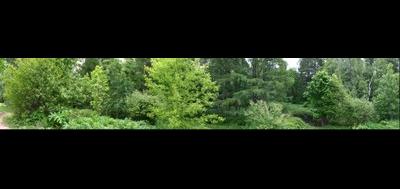 5934-400x189