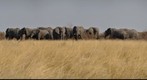 Mahango, Namibia
