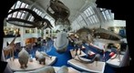 Natural History Museum