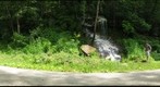 Trail and falls