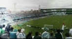 Couto Pereira