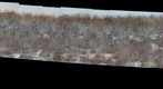 Fernessville gigavision timelapse camera