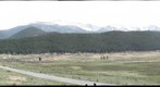 Field and Mountains at Estes Park, Colorado