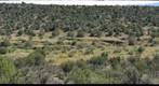 Eroding landscape