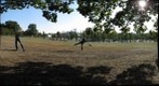 david test pictures