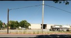 Barrow Plant, just north of Sebastopol Ave from east side of  Morris (20080611-03)