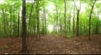 Dairy Bush GigaPan - 56 - Sept 22 2010
