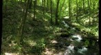 Turadg and Ally near a stream