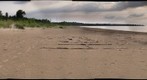 Ipperwash Beach
