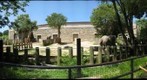 Elephants at the National Zoo