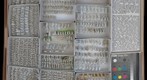 Eulophidae Receiving