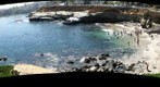La Jolla Cove