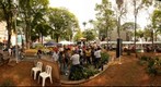 Distribuição de mudas na praça
