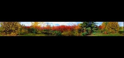 60281-400x189