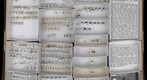Formicidae 41