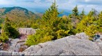 Lincoln Trail