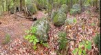 Glacial Erratic Field