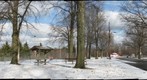 Winter at Moon Park