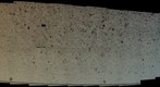 145 881A Smear Slide