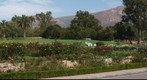 100930 Santa Barbara A. C. Postel Rose Garden Mission Historical Park from Plaza Rubio