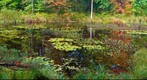 Quincy Bog