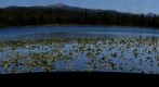 Moose Lake (2nd upload - Processed in Photoshop)