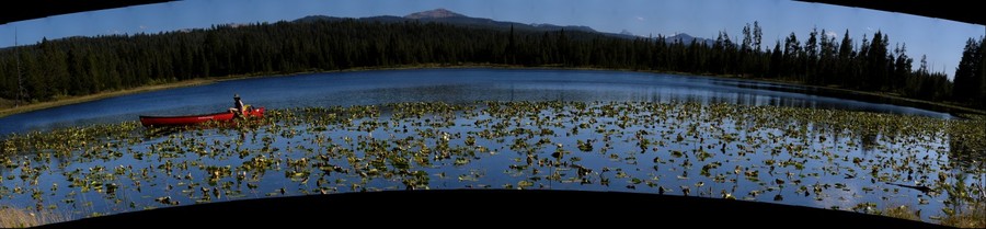 60660-900x209