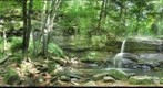 Lower Falls