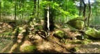 Laurel Fork - Holly River Park - West Virginia