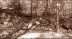 Laurel Fork Sepia